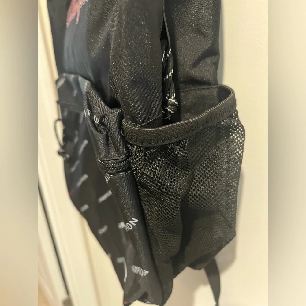 NEW Champion Youthquake Backpack, Black/Red